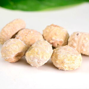 Ej   Cidaris V_X ybRYzy̔PʁF1z~jTCYbɂ̉΁b瓮b moroccobEchinoidb΁b΁bbRbtHbVbVR΁bp[Xg[ 39