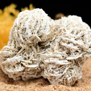 fU[g[Y ZiCg[Y NX^[ 242g LVRE`B T}JYt[YZiCgbWvTb[YbZiCgb̃obVR΁b΁b39Vb