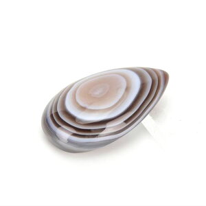 {ciAQ[g  J{V [X ^u摜y6.9gz{ciYmEbbVR΁bp[Xg[b^ub΁b΁byAVFCv 39Vbv