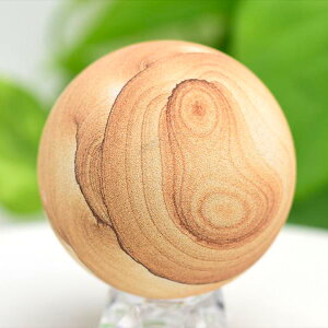 ThXg[ iozXg[ ۋ XtBA u tAJEA]iBY y53.3mmzbiozXg[bThXg[b^bjgo[bVR 39Vbv