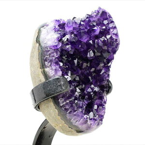 AWXg NX^[ ^x[X  EOACEAeBKXY 1544gbAWXgNX^[b΁bArtigas UruguaybWI[hbh[bSX^hbVR΁bp[X