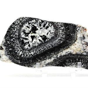 I[rLCg v[g uI[XgAYy429.5gzԛbI[rL[bOiCgbub[bXCXbIuWFbVR΁bp[Xg[b39Vbv