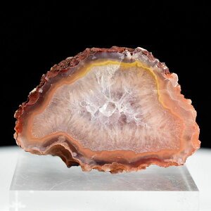 Coyamito Agate R~gAQ[g   LVRER~gY 40.2g mEbR~gbAQ[gbbmW[bn[tJbgbXCXb΁bzbW{bVR΁bp[X