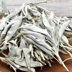 zCgZ[W }tNX^[[t~bNXJtHjAY I[KjbNy50gzp[Xg[b򉻁bzCgZ[WbNX^[bbn[ubX}bWOb 39