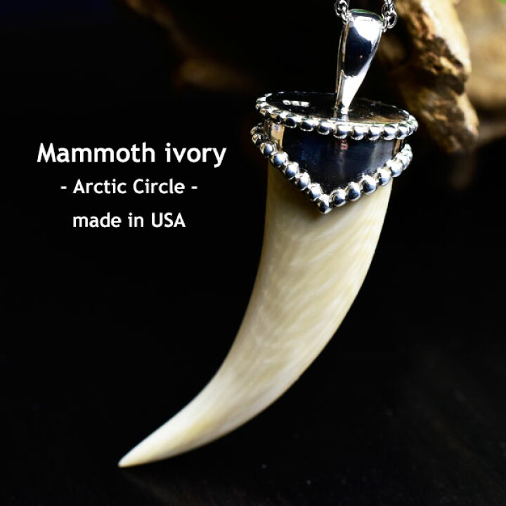 楽天市場】マンモスの牙 ネックレス ペンダントトップ □ウーリー  