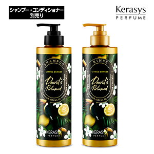 Kerasys PVX frY2 VgXoW[pt[ (Vv[/X) 500ml ʔ Pi ؍Vv[ wAPA ؍RX Ki 