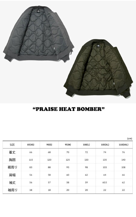 楽天市場】ノースフェイス ジャケット THE NORTH FACE メンズ PRAISE 