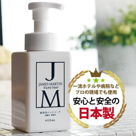 【手荒れ 保湿性 すすぎ性 洗浄殺菌力】 JAMES MARTIN ジェームズマーティン 薬用泡ハンドソープ 400ml 2個セット 除菌 消臭 インフルエンザ ノロウイルス 消毒　[沖縄・離島以外は送料無料] ジェイムズマーティン 保湿