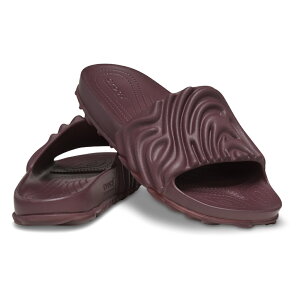 The Pollex XCh NbNX×TwExo[