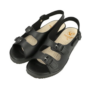 sAEH[J[i[XT_ PW7612yThe SEEDzItBXT_ fB[X d ItBX T_ r ɂ i[XT_ Vv O Ε Mtg