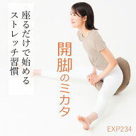 開脚 ストレッチ 器具 股関節 柔軟 ストレッチ 開脚補助 自宅 初心者 柔軟性アップ 開脚のミカタ EXP234 …