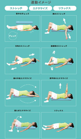 ストレッチ器具エクササイズポールEXP210アルインコヨガポールストレッチポールEXP200後継健康器具腰【smtb-u】
