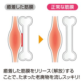 筋膜リリース/フォームローラー/スティック/筋肉ほぐす