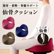 猫背矯正 【仙骨クッション 仙律 アルファックス】 骨盤矯正 椅子 姿勢矯正 骨盤サポート 姿勢 骨盤矯正 …