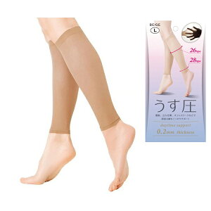 ɔT|[^[y2E1gzAt@bNX ӂ͂T|[^[ ӂ͂ T|[^[   ނ Ƃ ObY ނ݉  d̓ hV̓ Mtg