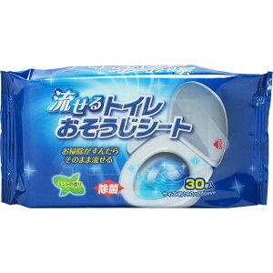 gCV[gi30×40܁j1P[X QB-116 XgbNXfUC gC |V[g  | V[g  gC| ĝ V[g P[X̔ ܂Ƃߔ 