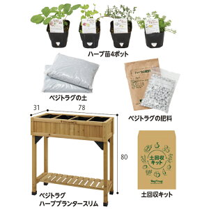 ͂߂؉Zbg@ɂ߃n[uc@^JV[ c n[u x_ ؉ Lbg Zbg  n[u ͔| ƒ؉ x_؉ n[uc ƒ ͔|Zbg av[g 