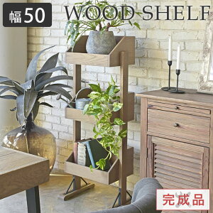 ؐVFt 3i bN [ fBXvC I  C VR i` Be[W k Vv AeB[N 3ibN I[vVFt ԑ ϗtA 50 i rO 