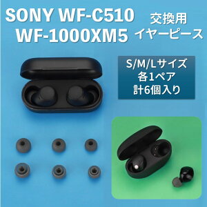 �C���[�`�b�v �C���[�s�[�X SONY WF-C510 / WF-1000XM5 ���Ή� 3�y�A6�Z�b�g �\�t�g�V���R�� �݊��i �\�j�[ ���C�����X�C���z�� �C���t�H�� �\�� �������� ��������