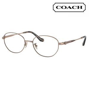 yKi̔XzxȂ1.55Y+0~ R[` Kl HC5153TD 9331 53 COACH I[o Eh ^ `^ AWAf fB[X