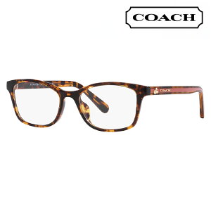 yAEgbgzxȂ1.55Y+0~ R[` Kl HC6216F 5120 54 COACH XNGA Z fB[X fBYj[ DISNEY MADE IN ITALY ttBbgf