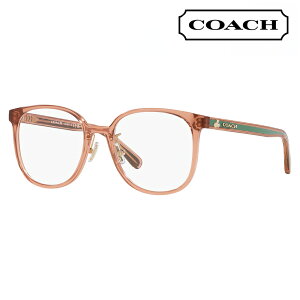 yAEgbgzxȂ1.55Y+0~ R[` Kl HC6217 5749 53 COACH EFg XNGA Z fB[X fBYj[ DISNEY MADE IN ITALY