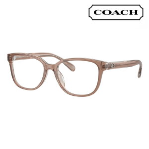 yKi̔XzxȂ1.55Y+0~ R[` Kl HC6224U 5779 53 COACH XNGA Z jo[TtBbg fB[X ዾ ɒBKl