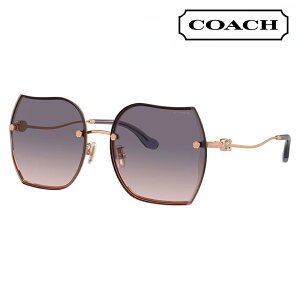 yKi̔XzR[` ɒB Kl ዾ TOX HC7146BD 933136 60 COACH XNGA Z c[|Cg AWAfUC fB[X 