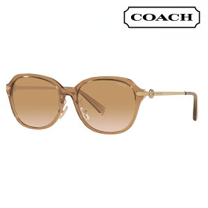 yKi̔XzR[` ɒB Kl ዾ TOXHC8332D 565413 56 COACH N^O Z fB[X 