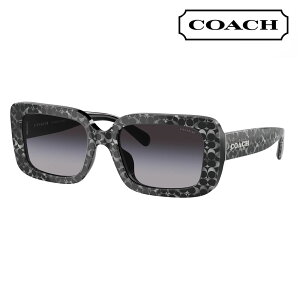 yKi̔XzR[` ɒB Kl ዾ TOX HC8380U 55208G 54 COACH N^O Z jo[TtBbg fB[X