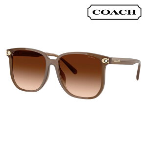 yKi̔XzR[` ɒB Kl ዾ TOX HC8413BD 580874 58 XNGA Z AWAfUC fB[X