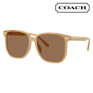 yKi̔XzR[` ɒB Kl ዾ TOX HC8413BD 585473 58 XNGA Z AWAfUC fB[X