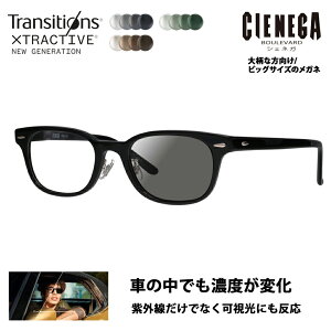 yKi̔XzVFlK Kl t[ TOX YZbg CN-K31 1 52 CIENEGA 傫 [W rbO LO 傫 Ch Y EFg Z ɒBዾ jR gWV