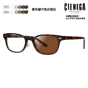yKi̔XzVFlK Kl t[ TOX YZbg CN-K31 2 52 CIENEGA 傫TCY [WTCY rbOTCY LOTCY 傫 Ch Y EFg Z 