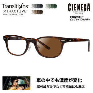 yKi̔XzVFlK Kl t[ TOX YZbg CN-K31 2 52 CIENEGA 傫 [W rbO LO 傫 Ch Y EFg Z ɒBዾ jR gWV