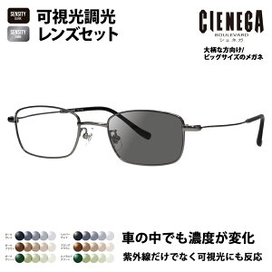 yKi̔XzVFlK Kl t[ TOX YZbg CN-K36 1 51 CIENEGA 傫 [W rbO LO 傫 Ch Y XNGA ^ `^ ɒBዾ HOLT/HOYA 