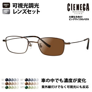 yKi̔XzVFlK Kl t[ TOX YZbg CN-K36 2 51 CIENEGA 傫 [W rbO LO 傫 Ch Y XNGA ^ `^ ɒBዾ HOLT/HOYA 