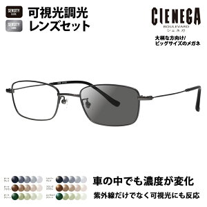 yKi̔XzVFlK Kl t[ TOX YZbg CN-K36 3 51 CIENEGA 傫 [W rbO LO 傫 Ch Y XNGA ^ `^ ɒBዾ HOLT/HOYA 