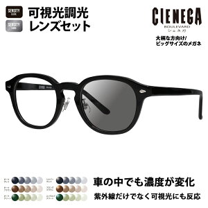 yKi̔XzVFlK Kl t[ TOX YZbg CN-K38 1 51 CIENEGA 傫 [W rbO LO 傫 Ch Y {Xg Eh Z ɒBዾ HOLT/HOYA 