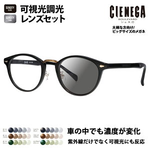 yKi̔XzVFlK Kl t[ TOX YZbg CN-K40 1 51 CIENEGA 傫 [W rbO LO 傫 Ch Y {Xg Z ɒBዾ HOLT/HOYA SENSITY DARK 