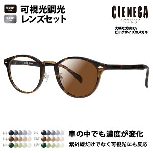 yKi̔XzVFlK Kl t[ TOX YZbg CN-K40 2 51 CIENEGA 傫 [W rbO LO 傫 Ch Y {Xg Z ɒBዾ HOLT/HOYA SENSITY DARK 