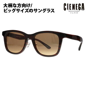 yKi̔XzVFlK TOX CN-KS04 2 54 CIENEGA 傫TCY [WTCY rbOTCY LOTCY 傫 Ch Y EFg Z t ɒBKl ዾ