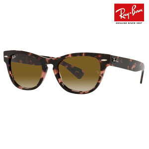 yIXXizCo TOX RB2201 133451 54 Ray-Ban LARAMIE ~[ EFg ɒBKl ዾ