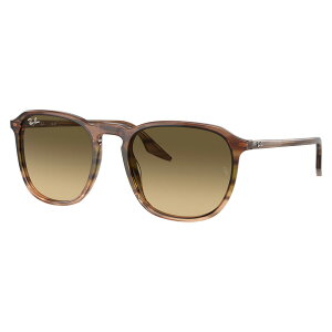 yKi̔XzCo TOX RB2203F 13920A 55 Ray-Ban CoYΉ ɒBKl ዾ ttBbgf XNGA EFg