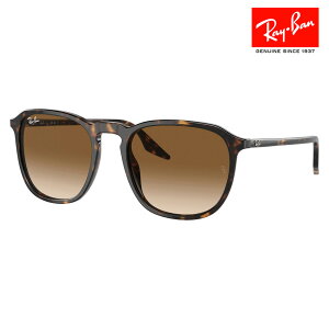 yKi̔XzCo TOX RB2203F 902/51 55 Ray-Ban CoYΉ ɒBKl ዾ ttBbgf XNGA EFg