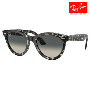 yKi̔XzCo TOX RB2241F 133371 54 Ray-Ban CoYΉ WAYFARER EFCt@[[EFC Eh
