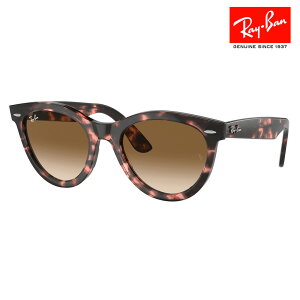 yKi̔XzCo TOX RB2241F 133451 54 Ray-Ban CoYΉ WAYFARER EFCt@[[EFC Eh