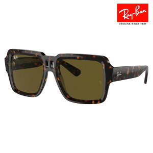 yKi̔XzCo TOX RB4408 135973 54 Ray-Ban CoYΉ Magellan }[ Z XNGA  ɒBKl ዾ