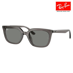 yKi̔XzCo TOX RB4439D 667587 54 XNGA Z AWAfUC jZbNX