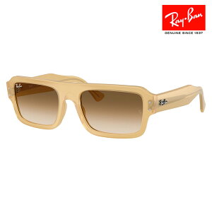 yKi̔XzCo TOX RB4454F 680651 53 Ray-Ban CoYΉ Predator vf^[ _uubW Eh Z jZbNX